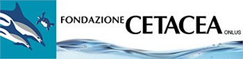 Fondazione Cetacea