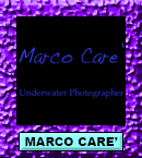Marco Care
